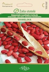 Kääbusaia oad Wawelska цена и информация | Семена овощей, ягод | hansapost.ee