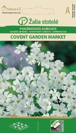 Kaunis kipslill Covent garden market цена и информация | Lilleseemned | hansapost.ee