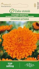 Saialill Orange gitana hind ja info | Lilleseemned | hansapost.ee