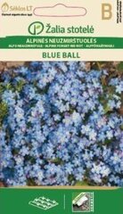 Альпийская незабудка Blue ball цена и информация | Семена цветов | hansapost.ee