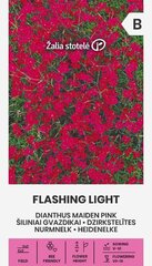 Nurmnelk Flashing light hind ja info | Lilleseemned | hansapost.ee