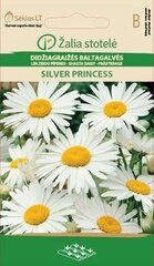 Karikakar Silver Princess hind ja info | Lilleseemned | hansapost.ee
