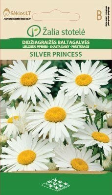 Karikakar Silver Princess цена и информация | Lilleseemned | hansapost.ee