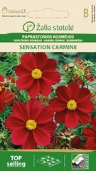 Космея SENSATION CARMINE цена и информация | Семена цветов | hansapost.ee