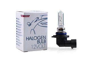 Halogeenpirn M-Tech HB3 12V hind ja info | M-Tech Autokaubad | hansapost.ee