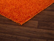 Vaip Shaggy Oranž, 80 x 150 cm цена и информация | Vaibad | hansapost.ee