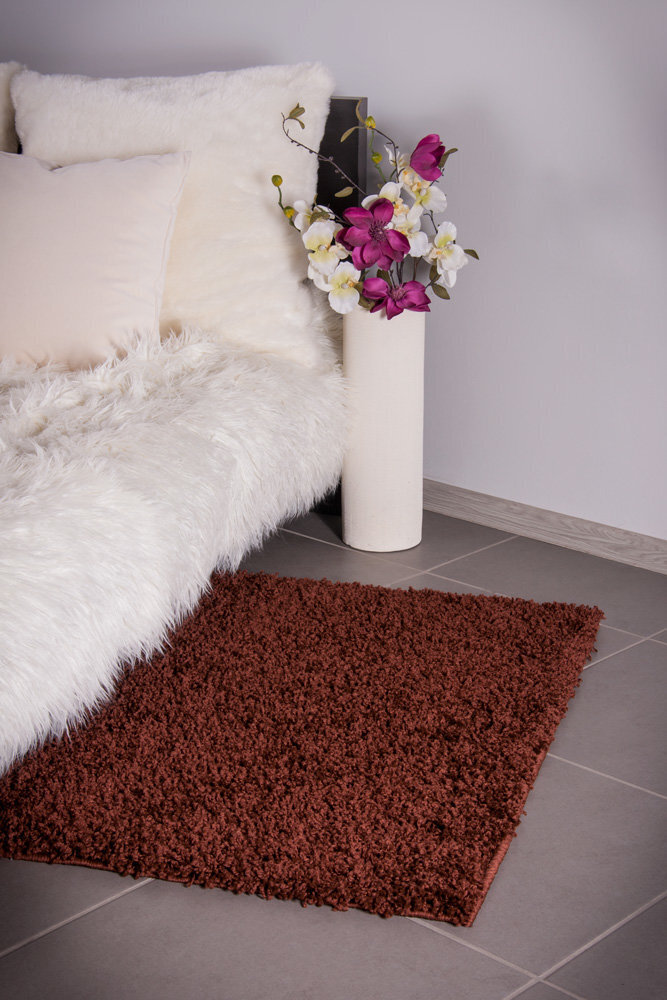 Vaip Shaggy Brown, 80 x 150 cm hind ja info | Vaibad | hansapost.ee