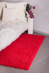 Vaip Shaggy Red, 80 x 150 cm цена и информация | Коврики | hansapost.ee