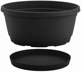 Nicoli чаша с тарелкой Rumba 22, антрацит цена и информация | Ящики для рассады | hansapost.ee