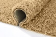 Vaip Shaggy Caramel, 60x100 cm цена и информация | Vaibad | hansapost.ee