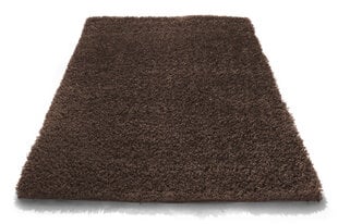 Vaip Shaggy Brown, 80x150 cm hind ja info | Vaibad | hansapost.ee