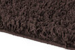 Vaip Shaggy Brown, 100x200 cm hind ja info | Vaibad | hansapost.ee