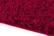 Vaip Shaggy Red, 80x150 cm цена и информация | Vaibad | hansapost.ee