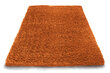 Vaip Shaggy Orange, 60x100 cm hind ja info | Vaibad | hansapost.ee