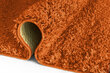 Vaip Shaggy Orange, 60x100 cm hind ja info | Vaibad | hansapost.ee