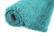 Vaip Shaggy Turquoise, 60x100 cm цена и информация | Vaibad | hansapost.ee