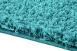 Vaip Shaggy Turquoise, 60x100 cm hind ja info | Vaibad | hansapost.ee