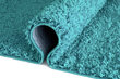 Vaip Shaggy Turquoise, 60x100 cm цена и информация | Vaibad | hansapost.ee