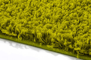 Vaip Shaggy Green, 60x100 cm hind ja info | Vaibad | hansapost.ee