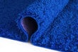 Vaip Shaggy Cobalt Blue, 120x170 cm цена и информация | Vaibad | hansapost.ee