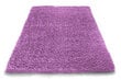 Vaip Shaggy Lavender, 200x290 cm price and information | Vaibad | hansapost.ee