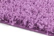 Vaip Shaggy Lavender, 200x290 cm цена и информация | Vaibad | hansapost.ee