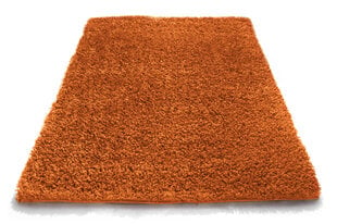 Vaip Shaggy Orange, 80x150 cm hind ja info | Vaibad | hansapost.ee