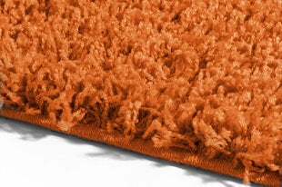 Vaip Shaggy Orange, 80x150 cm hind ja info | Vaibad | hansapost.ee