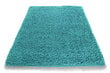 Vaip Shaggy Turquoise, 80x150 cm цена и информация | Vaibad | hansapost.ee