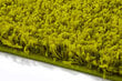 Vaip Shaggy Green, 80x150 cm hind ja info | Vaibad | hansapost.ee