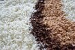 Vaip Shaggy Long 05 Sand, 80x150 cm hind ja info | Vaibad | hansapost.ee