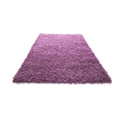 Vaip Shaggy Light Lavender, 40x60 cm hind ja info | Vaibad | hansapost.ee