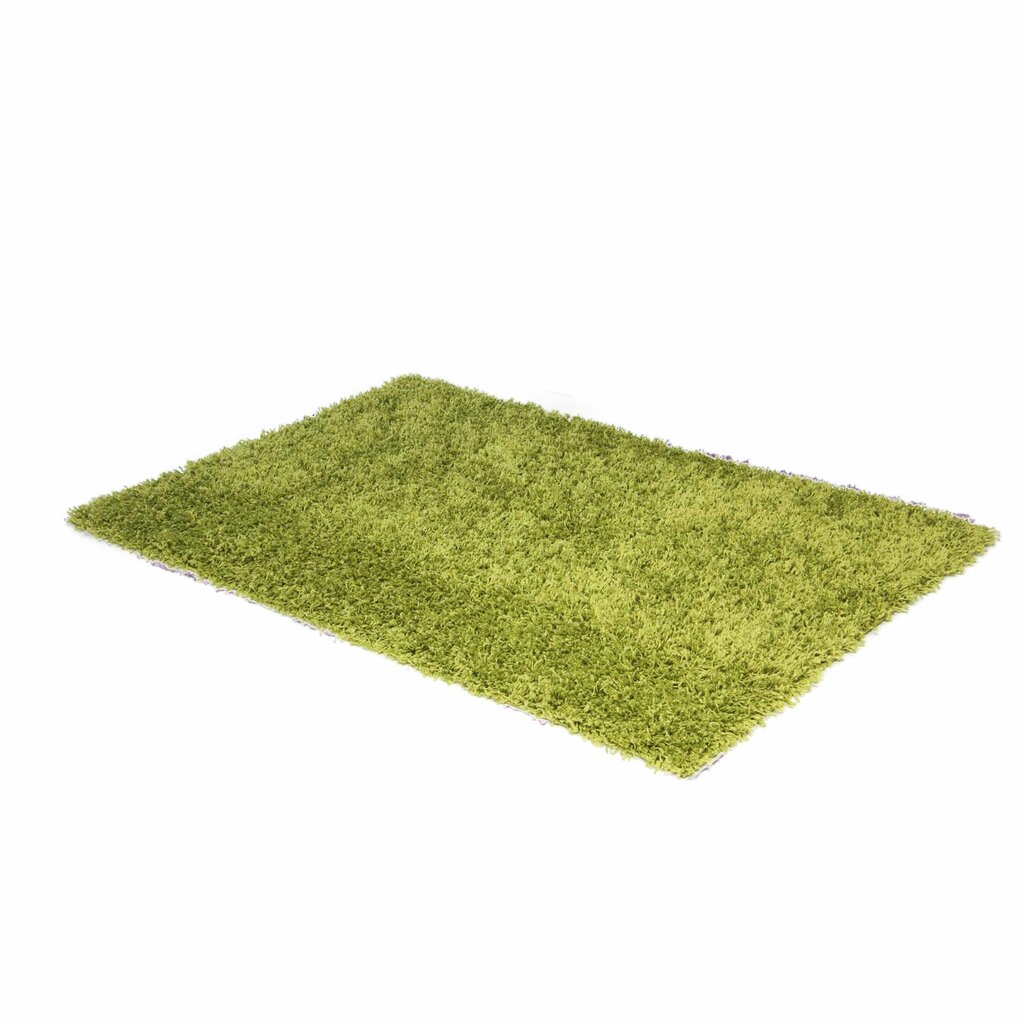 Vaip Shaggy Light Green, 120x170 cm hind ja info | Vaibad | hansapost.ee