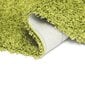 Vaip Shaggy Light Green, 140x190 cm цена и информация | Vaibad | hansapost.ee