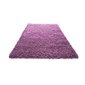 Vaip Shaggy Light Lavender, 80x150 cm цена и информация | Vaibad | hansapost.ee