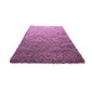 Vaip Shaggy Light Lavender, 160x220 cm hind ja info | Vaibad | hansapost.ee