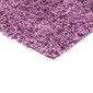 Vaip Shaggy Light Lavender 200x290 cm цена и информация | Vaibad | hansapost.ee