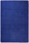 Vaip Hanse Home Fancy Blue, 100x150 cm цена и информация | Vaibad | hansapost.ee