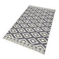 Vaip Hanse Home Gloria Ethno Grey Cream, 120x170 cm цена и информация | Vaibad | hansapost.ee