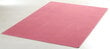 Vaip Hanse Home Nasty Pink, 200x300 cm hind ja info | Vaibad | hansapost.ee