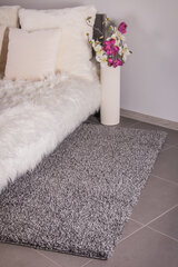 Vaip Shaggy Grey, 100 x 200 cm hind ja info | Vaibad | hansapost.ee