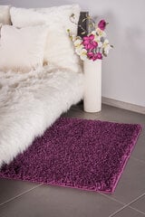 Vaip Shaggy Violet, 100 x 200 cm цена и информация | Коврики | hansapost.ee