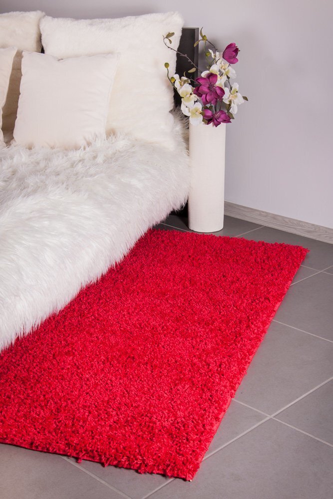 Vaip Shaggy Red, 120 x 170 cm hind ja info | Vaibad | hansapost.ee