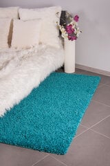 Vaip Shaggy Trukio, 100 x 200 cm hind ja info | Vaibad | hansapost.ee