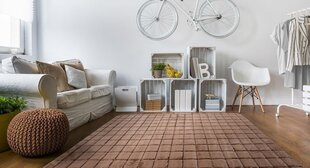 Vaip Brick, pruun, 160x230 hind ja info | Vaibad | hansapost.ee