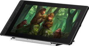 Huion Kamvas Pro 16 Premium, черный цена и информация | Планшеты | hansapost.ee