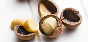 Восстанавливающее масло для волос Macadamia Healing Oil Treatment, 125 мл цена и информация | Средства для укрепления волос | hansapost.ee