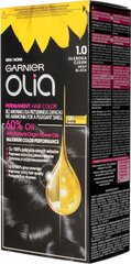 Garnier Olia стойкая краска, 1.0 цена и информация | Краска для волос | hansapost.ee