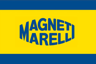 Auto ksenoonpirn MAGNETI MARELLI D2R 4600k цена и информация | Magneti Marelli DRL Автотовары | hansapost.ee