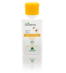 Šampoon heledatele juustele Natura House Pura Natura 250 ml hind ja info | Šampoonid | hansapost.ee
